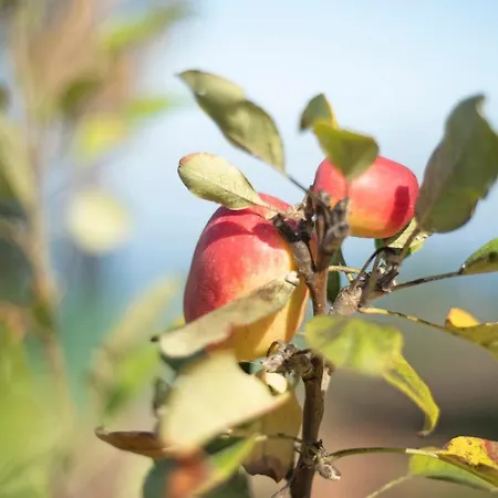 Jalon De Cameros Βίλα *